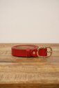 Garde-robe - Riemen - Rood