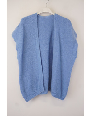 Garde-robe - Gilet - Blauw