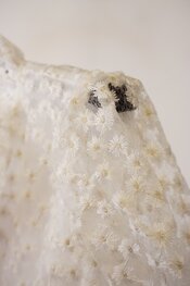 Garde-robe - Top - Ecru