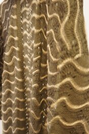 Garde-robe - Gilet - Wit-groen
