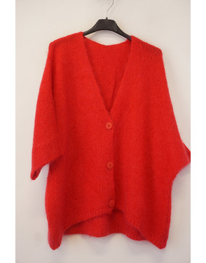 Garde-robe - Gilet - Rood