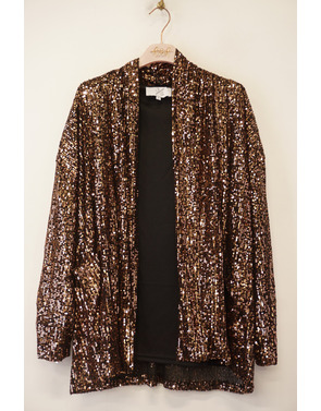 Garde-robe - Gilet - Zwart-brons