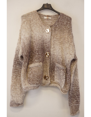 Garde-robe - Gilet - Bruin
