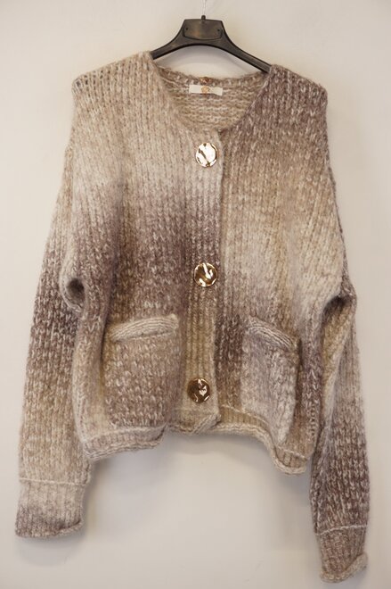 Garde-robe - Gilet - Bruin