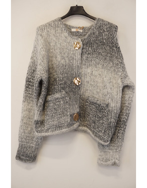 Garde-robe - Gilet - Grijs