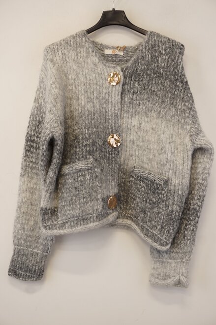 Garde-robe - Gilet - Grijs
