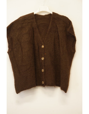 Garde-robe - Gilet - Bruin