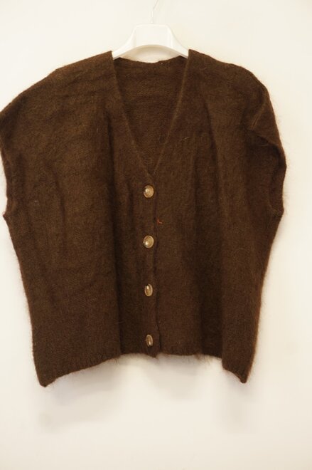 Garde-robe - Gilet - Bruin