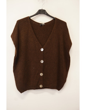 Garde-robe - Gilet - Bruin