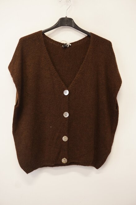 Garde-robe - Gilet - Bruin