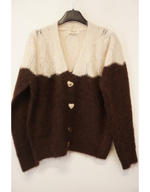 Garde-robe - Gilet - Bruin