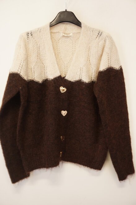 Garde-robe - Gilet - Bruin