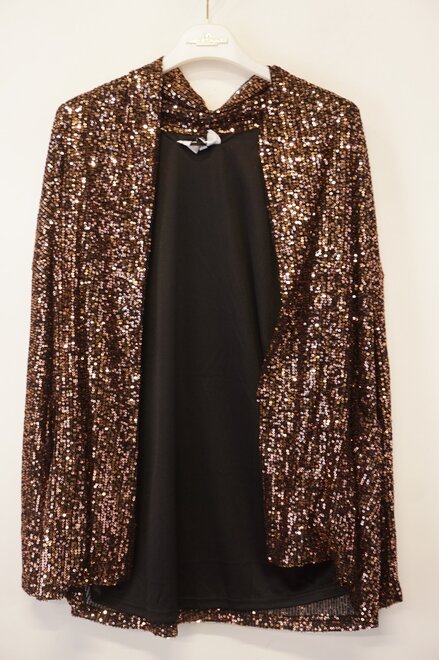 Garde-robe - Gilet - Zwart-brons