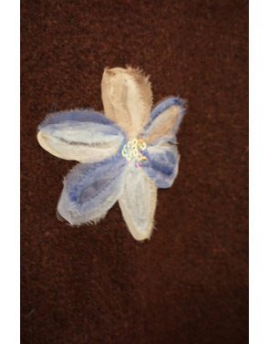 Garde-robe - Pull - Bruin