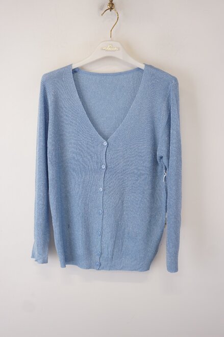 Garde-robe - Gilet - Blauw