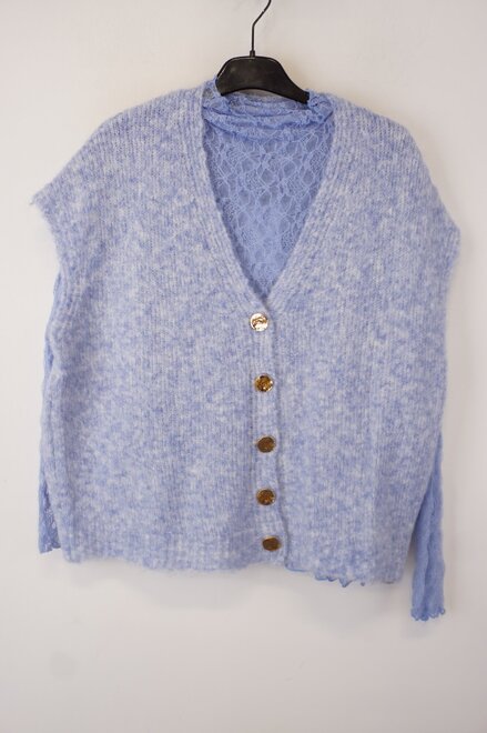 Garde-robe - Gilet - Blauw