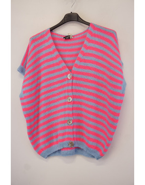 Garde-robe - Gilet - Blauw-roze