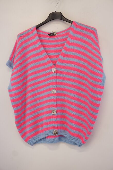 Garde-robe - Gilet - Blauw-roze