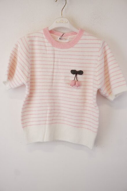 Garde-robe - Pull - Roze