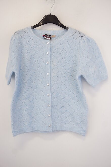 Garde-robe - Gilet - Blauw