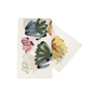 Caroline Biss - Sjaals - Multicolor