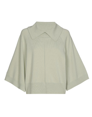 Caroline Biss - Pull - Munt