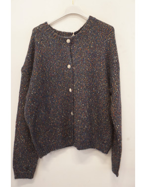 Garde-robe - Gilet - Blauw