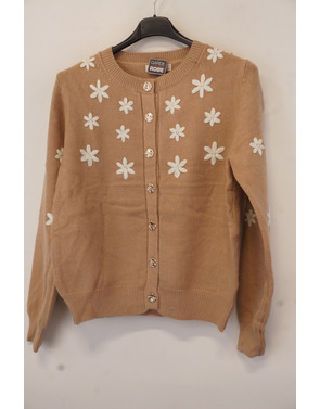 Garde-robe - Gilet - Camel
