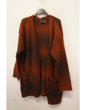 Garde-robe - Gilet - Bruin-oranje